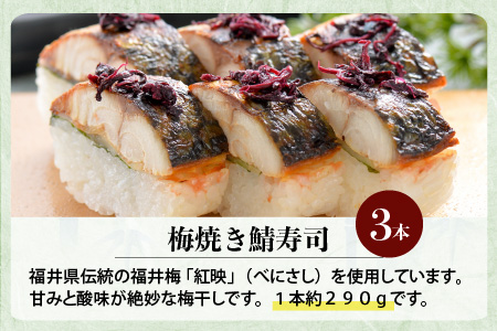 福井梅“紅映”使用 「梅焼き鯖寿司」 3本 1本あたり 約290g ～家族が喜ぶ手土産～【名物 ジューシー 焼きさば 押し寿司 さば寿司 ウメ うめ すし こしひかり 贈答 ギフト お土産 大人気】【