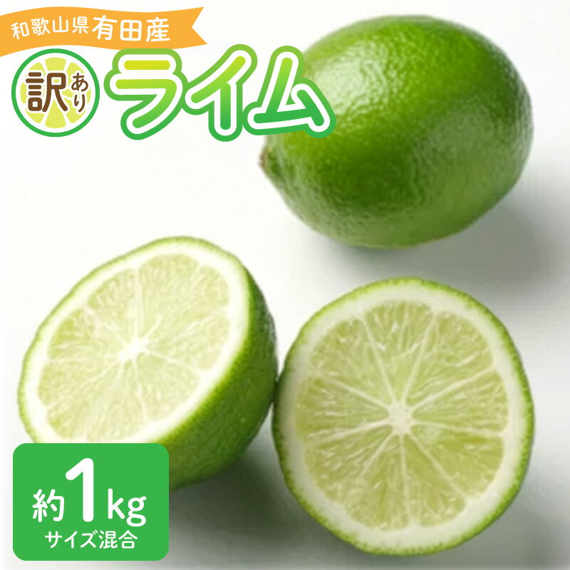 【ふるさと納税】【限定】 2026年先行予約 和歌山県 有田産 国産ライム 約 1kg 訳あり【ライム 国産ライム 柑橘 和歌山 有田 訳あり】