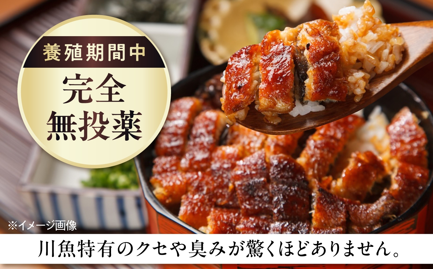 鰻 うなぎ ウナギ 白焼 白焼き しらやき 国産 ギフト 冷凍 土用の丑の日