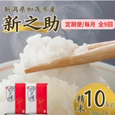 ふるさと納税 加茂市 【発送月固定定期便】新之助　精米10kg　2026年10月上旬より順次発送全9回