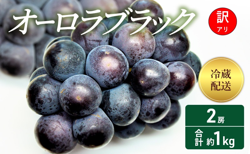 【2026年 先行予約】【訳あり品】 オーロラブラック2房 合計約1kg 冷蔵配送 ぶどう 葡萄 フルーツ 果物 岡山 岡山のぶどう 食後 デザート 産地直送 大粒 爽やか 食べやすい 