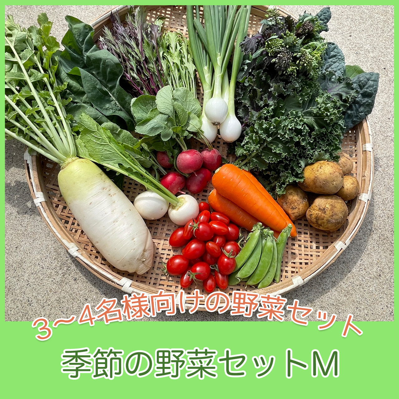 
季節の野菜セットM（約4kg）【 国産 旬 季節の野菜 詰め合わせ セット 農薬不使用 無農薬 産地直送 京野菜 京都 綾部 】
