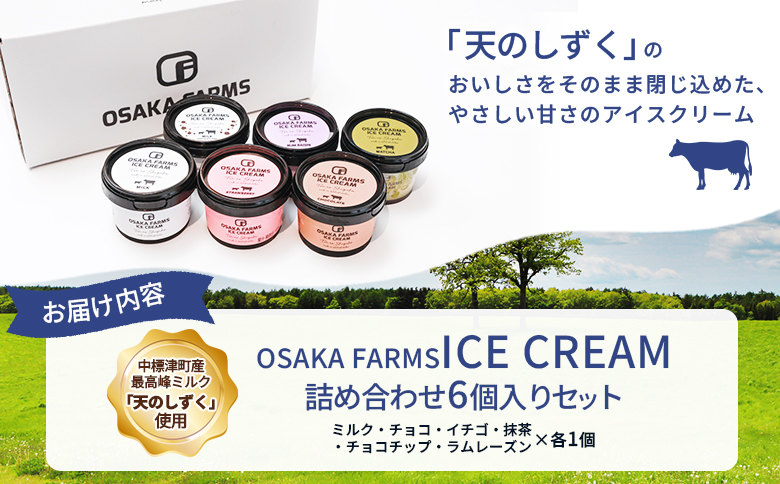 OSAKA FARMS ICE CREAM 詰め合わせ6個入りセット（ミルク・チョコ・イチゴ・抹茶・チョコチップ・ラムレーズン）各1個 | ふるさと納税 北海道 中標津 詰め合わせ アイス 天のしずく
