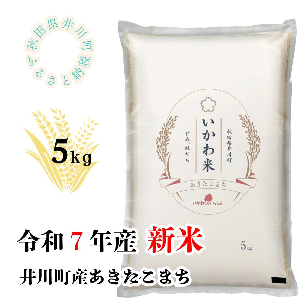 【ふるさと納税】【令和7年産先行予約】あきたこまち　5kg　精米　秋田県井川町産