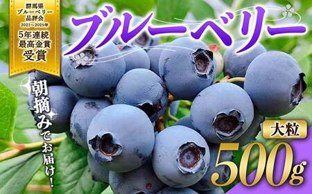 ブルーベリー大粒500g 朝摘みでお届け！【5年連続最高金賞受賞 群馬県ブルーベリー品評会2021~2025年】 大粒 化学農薬不使用 除草剤不使用 フルーツ 果物 F4H-0687
