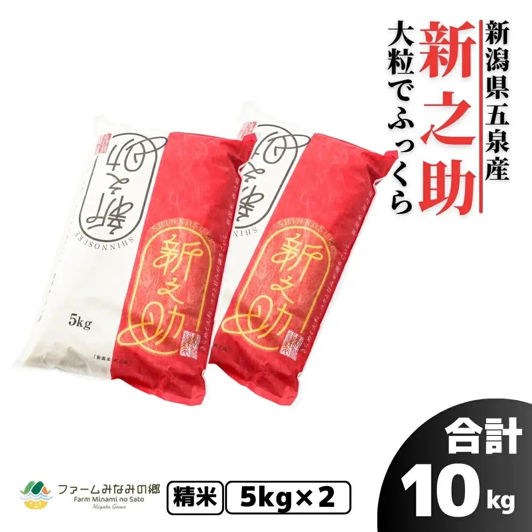 【先行予約】令和8年産 新米 新之助 10kg(5kg×2袋) 精米 | 新潟県 五泉市 新之助