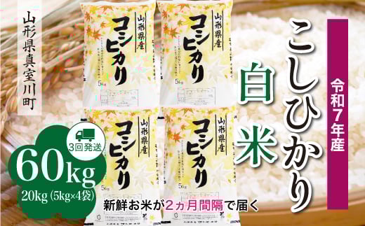 
            ＜令和7年産米＞ こしひかり 【白米】 定期便 60kg （20kg×２ヶ月間隔で3回お届け）＜配送時期指定可＞　山形県真室川町
          