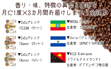 【宝塚】3ヶ月の定期便（当日自家焙煎珈琲豆6種 計1200g）Type2【粉】