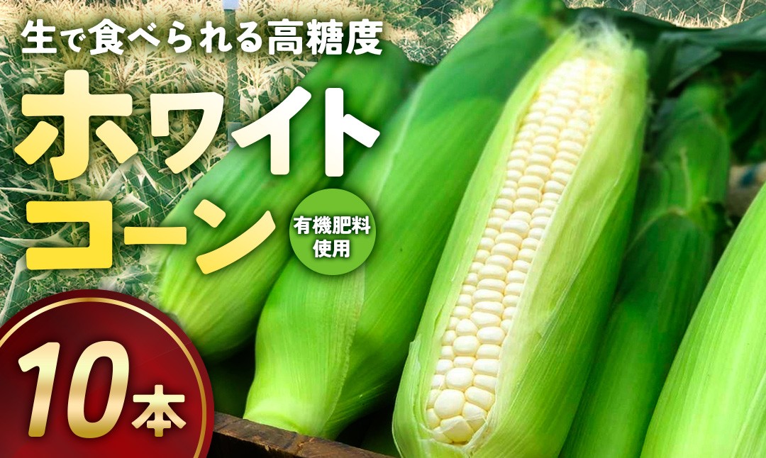
                  ホワイトコーン (とうもろこし) 10本 約6kg 高糖度 有機栽培 生でも甘いホワイトコーン 白いとうもろこし 三重県 多気町 TZM-01
                