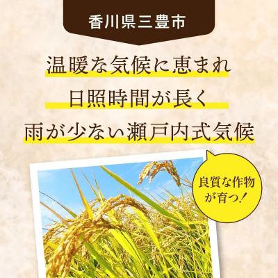 ふるさと納税 三豊市 ふるさと納税　白米【新米コシヒカリ15.0kg】三豊市産 |  | 01