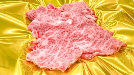 冷凍 松阪牛 うす切り焼肉 （シルクロース） 500g ／ 瀬古食品 松阪肉 名産 ブランド 霜ふり本舗 牛肉 お肉 肉 和牛 黒毛和牛 国産 国産牛 ブランド牛 ギフト 贈答 産地直送 松阪 牛 三重県 大台町 (413)