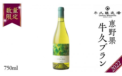 
                  恵野果 牛久ブラン 2022 750ml×1本 茨城県産 茨城県産 牛久醸造場 日本ワイン ワイン  白ワイン 750ml ミディアムボディ お酒 贈り物 葡萄 ぶどう クリスマス
                