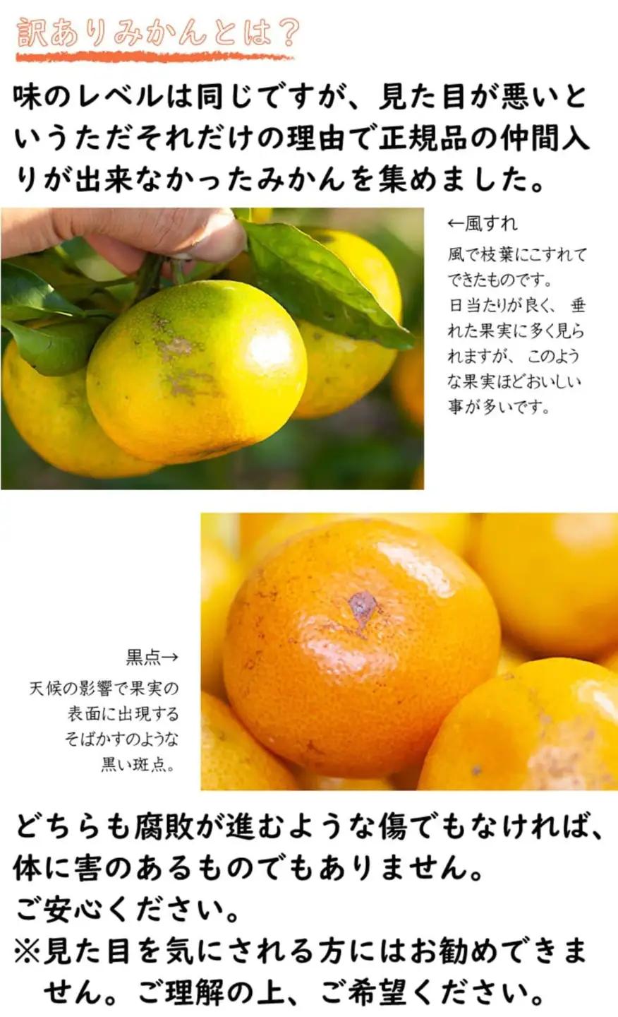 訳あり 極早生みかん 2S・3S混合 6.5kg 和歌山みかん