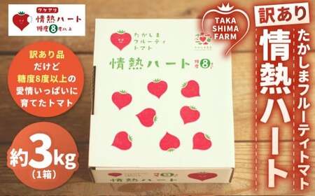 【訳あり】 たかしまフルーティトマト 【糖度8度以上】 「情熱ハート」 約3kg箱×1 ／ フルーティートマト フルーツトマト トマト とまと 高糖度 甘い 野菜 やさい サラダ 【2026年3月下旬～5月下旬発送予定】