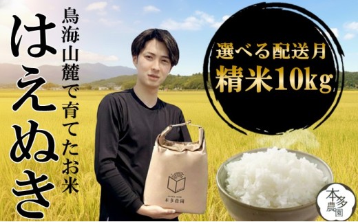 11月上旬配送／令和8年産【精米】はえぬき　10kg(5kg×2袋) 農家直送 HO SB0956