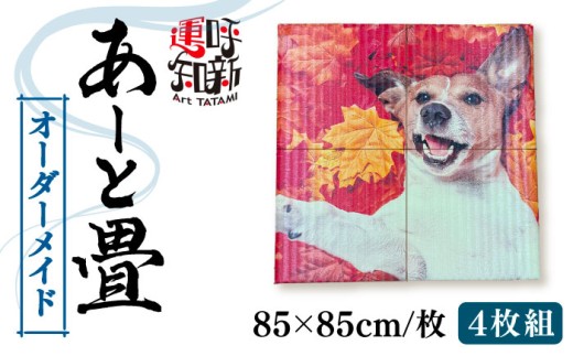 【4枚】世界にひとつだけ オーダーメイド あーと畳 たたみ 畳 愛西市 / 有限会社なかしま [AEDC004]