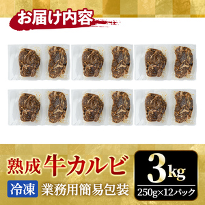 カルビ 3kg (250g×12パック) たれ 味付 小分け焼肉 熟成 牛肉 【カルビ】【ho1473】