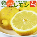 【ふるさと納税】【限定】 【先行予約】【ご家庭用 訳あり】紀州有田産レモン 2.5kg【国産 レモン 柑橘 フルーツ 和歌山】