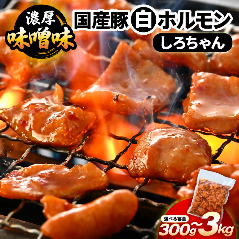 【ふるさと納税】国産豚 白ホルモン しろちゃん 濃厚味噌味 【選べる内容量：300g 600g 900g 1.5kg 3kg】 (1パック：300g) 【 肉 お肉 小分け 豚 豚肉 ぶた ホルモン ほるもん 豚腸 味噌 濃厚 おつまみ おかず 夜のおかず 夜ごはん 味付き 冷凍 国産】