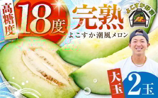 【先行予約】【数量限定】よこすか潮風メロン 大玉 4L 2玉 セット 計約3kg めろん フルーツ 果物 ネットメロン 贈答 希少 産地直送 横須賀【井上農園】 [AKDJ001]