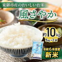 【ふるさと納税】R6年産新米！東御市産おいしいお米「風さやか」約10kg お米 こめ 白米 美味しい 甘い ギフト お中元 お歳暮 自宅用 家庭用 国産 長野県東御市