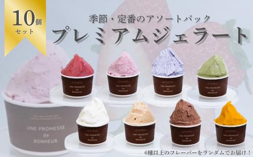 プレミアムジェラート　10個セット　【11100-1921】