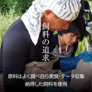 鶏肉 ささ鳥 京美白どり BBQ とりにく セット 鶏肉