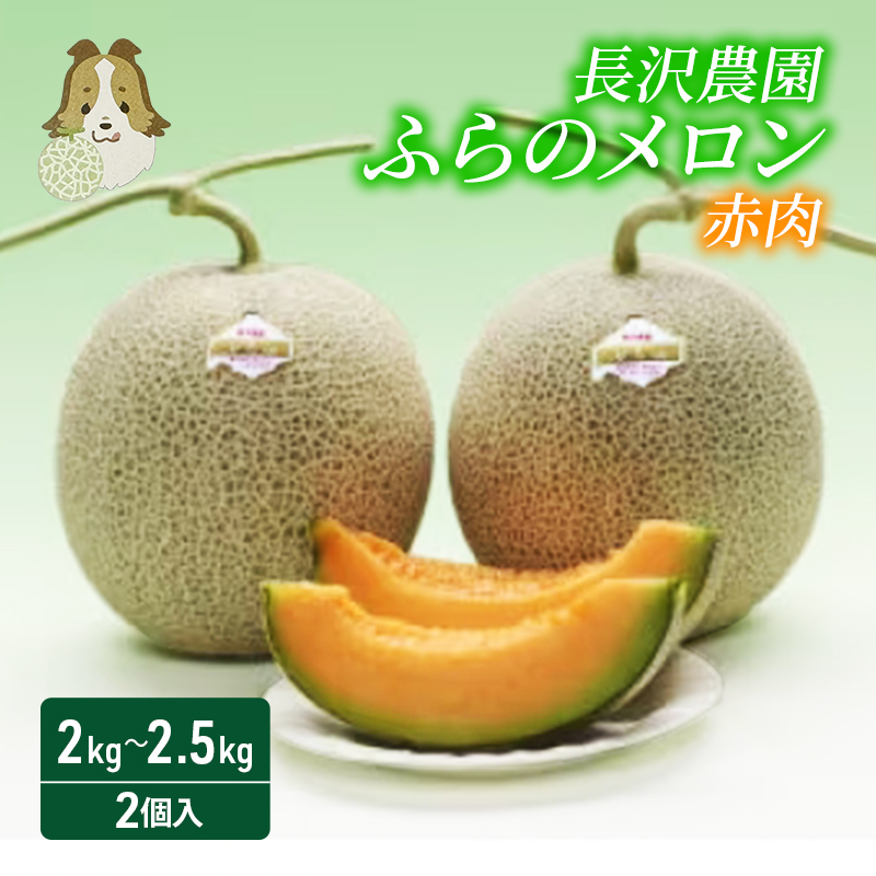 【先行受付  2026年発送】ふらのメロン 赤肉 大玉 ジャンボ 2玉 セット 計4kg以上 北海道 富良野 メロン 夏 果物 フルーツ ギフト 長沢農園