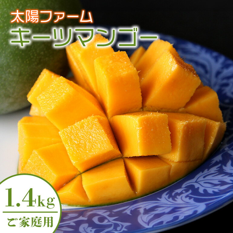 【ふるさと納税】【 先行予約 2026年 発送 】 農家直送 ! 太陽ファームの キーツマンゴー 1.4kg (ご家庭用) 沖縄県産 マンゴー 国産 果物 南国 くだもの フルーツ 夏 旬 特産品 沖縄 お取り寄せ 名産品 お土産 甘い 濃厚 家庭用 緑色 幻のマンゴー 沖縄県 糸満市 送料無料