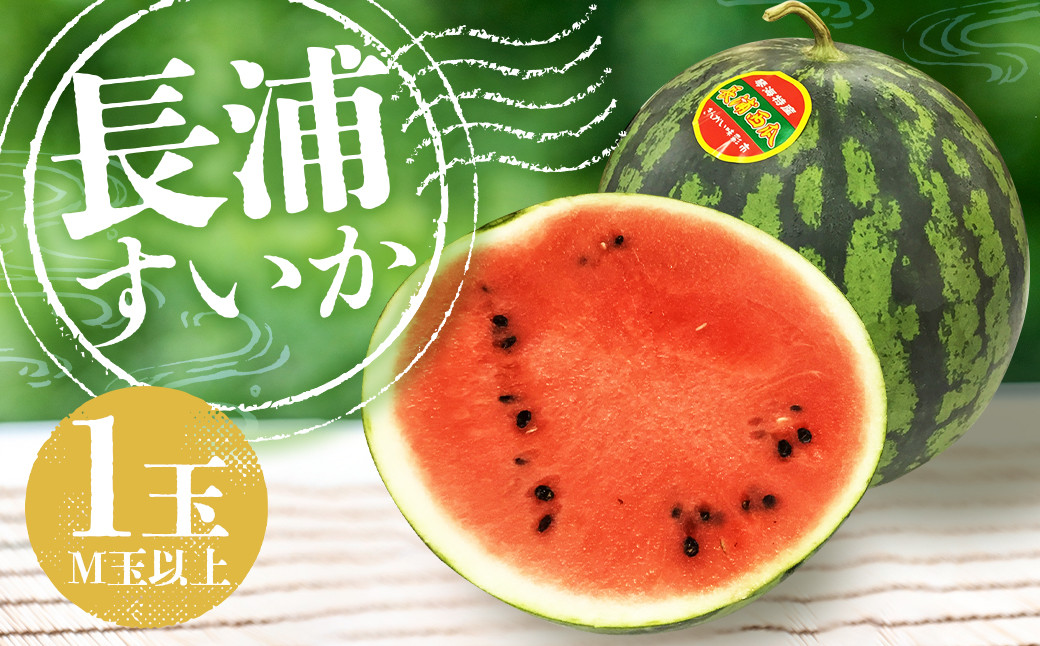 
            先行予約受付！ 長浦すいか（M玉以上）1玉【2025年6月上旬～6月下旬迄発送予定】 ／ 長浦スイカ すいか スイカ 西瓜 果物 フルーツ 季節の果物 長崎県産 長崎市産 長崎県 長崎市 常温
          