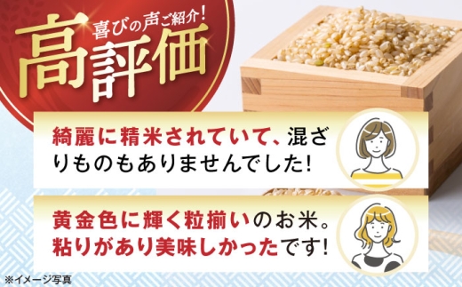  滋賀県 湖北のミルキークイーン 30kg (玄米)　米 お米 ご飯 ごはん ゴハン おにぎり 炊き込みご飯 人気 おすすめ