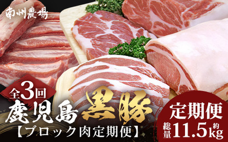 ［新春］≪全3回≫【南大隅町限定】食べ応え満点！ ★ かごしま黒豚 ブロック肉 定期便 ★ 鹿児島県産 NS-26 ｜ 肉 豚肉 ぶた 豚 ブタ 黒豚 鹿児島黒豚 ロース ブロック バラ 肩ロース バラブロック 肩ロースブロック ファミリー 業務用 産地直送 限定 鹿児島県 南大隅町 南州農場