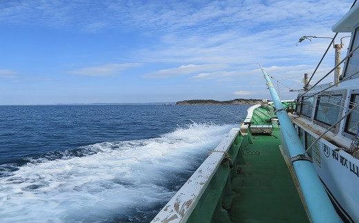 
現役漁師と行く！海からの南紀白浜の景勝地を一望できるポイントでの釣り体験
