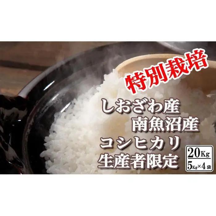 【令和7年産】特別栽培 生産者限定 南魚沼しおざわ産コシヒカリ20Kg【銘柄米 ブランド米 精米 こしひかり コシヒカリ 魚沼産 新潟米 産地直送 お米 米 こめ コメ ご飯 御飯 ごはん】