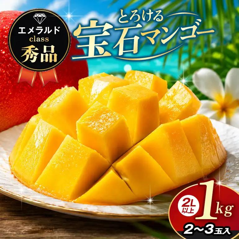 ぼうけんの国 宝石マンゴー 【秀品】アーウィンマンゴー エメラルドclass 約1kg ku01-003