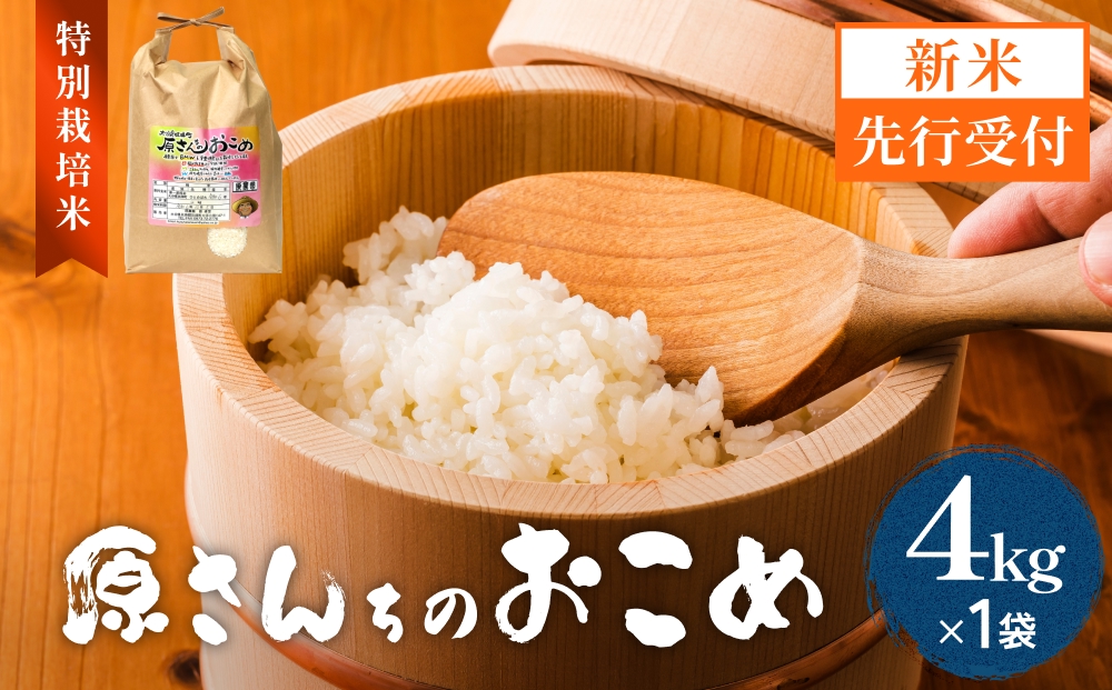 【令和8年産米先行受付】原さんちのお米 白米 ４kg ひのひかり 米 お米 こめ コメ  ご飯 ヒノヒカリ 常温 大分県 大分 玖珠町 玖珠