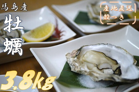 【約3.8㎏】馬島産 牡蠣/かき カキ 生牡蠣 殻付き【期間限定※2026年1月中旬～3月下旬発送】
