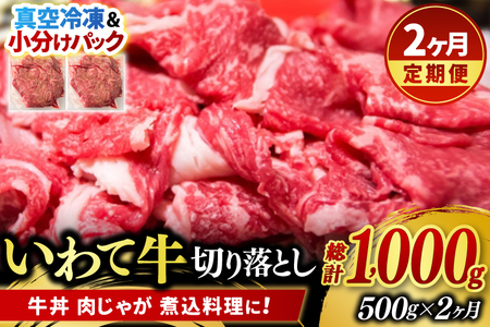 ＼2ヶ月連続 定期便／ 切り落とし 肉 牛肉 小分け 真空冷凍 いわて牛 500g (総計 1,000g) 岩手県産 和牛 牛肉 黒毛 和牛 切り落とし肉 大容量 肉 すき焼き 肉じゃが 煮込み 煮物 赤身 国産牛 小分け 冷凍 数量限定 (AB098)