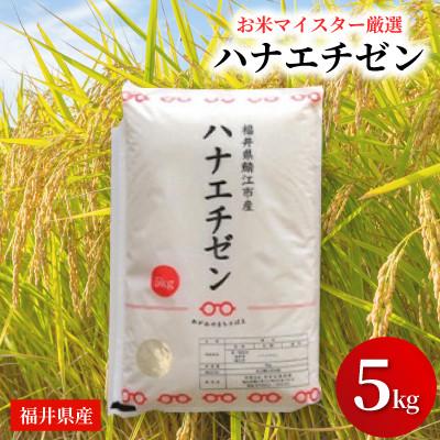 ふるさと納税 鯖江市 鯖江市産【令和7年産】ハナエチゼン 5kg
