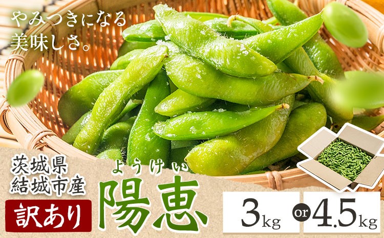 
                  枝豆 えだまめ 訳あり 陽恵（茶豆味）選べる 3kg 4.5kg 有限会社大嶋農園 《6月中旬-7月上旬頃出荷予定》 えだまめ 野菜 国産 甘み 香り 濃厚 つまみ ビールのおつまみ ビールのつまみ ご家庭用【配送不可地域あり】(離島)
                