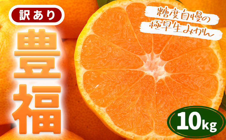 
            訳あり 極早生みかん 「 豊福 」10kg 箱入り 都呂々みかん生産者グループ《2025年10月中旬-11月下旬頃出荷》 フルーツ 果物 くだもの 柑橘 みかん ミカン 蜜柑 熊本県 苓北町【配送不可地域あり】
          