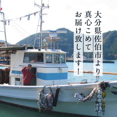 ふるさと納税 佐伯市 漁師直送! 天然活〆車えび (計500g・250g×2P) 大分県産 |  | 03