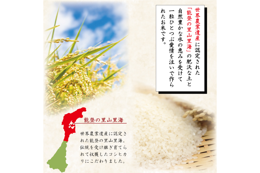 米 定期便 能登米 こしひかり 5kg ×6回 総計 30kg 精米 [中橋商事 石川県 宝達志水町 38601130] 能登 コシヒカリ お米_イメージ2