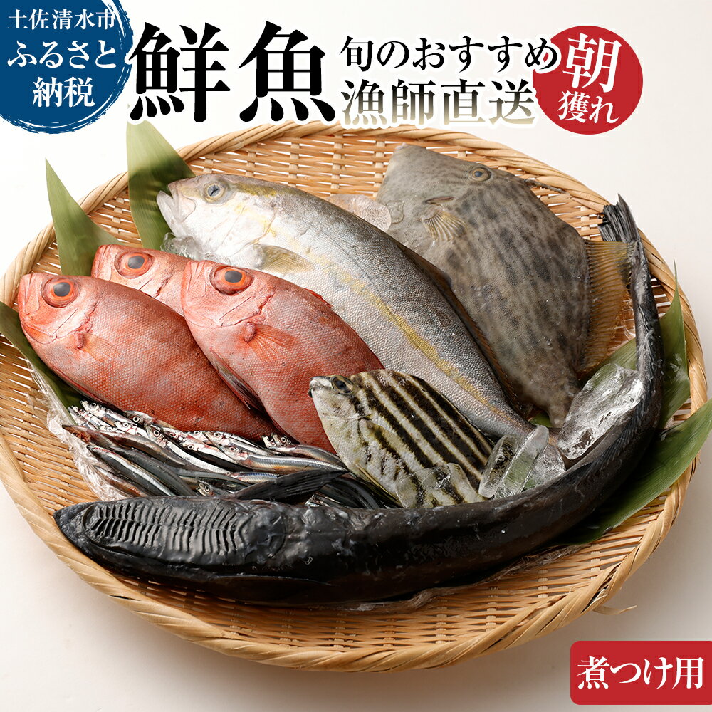 【ふるさと納税】旬の朝獲れ鮮魚（煮つけ用）漁師おすすめセット【以布利定置網　漁師直送】朝獲れ 鮮魚ボックス 旬 煮付 煮魚 鮮魚 魚介 海鮮 魚 さかな せんぎょ 鮮魚セット 詰め合わせ おまかせ お任せ 故郷納税 高知県 土佐清水市 送料無料 高知【S00820】