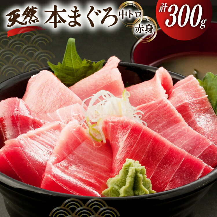 【ふるさと納税】 昭福丸の天然本まぐろ (中トロ・赤身) 各150g 計300g [臼福本店 宮城県 気仙沼市 20566155] 魚 鮮魚 刺身 トロ 天然本マグロ マグロ まぐろ 鮪 本まぐろ 本マグロ 本鮪 冷凍