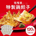 【ふるさと納税】国産野菜 宮崎県産 人気ラーメン店 鶏肉 桜姫 悠瑠里 特製 鶏餃子 120個 秘伝 ラーメンダレ おかず おつまみ おすすめ 加工品 冷凍 惣菜 宮崎県 宮崎市 送料無料