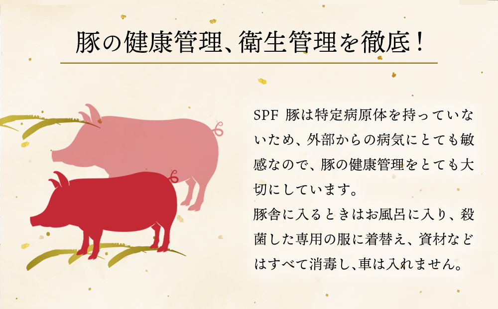 【選べる内容量】【ANA限定】くまもとあか牛すき焼き用 豚バラ肉しゃぶしゃぶ用 各1kg 計2kg 鍋 しゃぶしゃぶ すき焼き 牛肉 豚肉 精肉 冷凍 便利 おすすめ 料理 自宅用 贈答用 お中元 お
