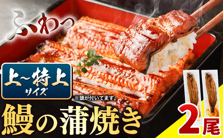 【CF】徳島県産 うなぎの蒲焼き2尾 タレ・山椒付《30日以内に出荷予定(土日祝除く)》うなぎの蒲焼き 鰻 徳島県産---sanagouchi_lcl_44_2bi---