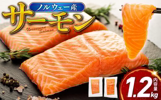 期間 数量 限定 ノルウェー産  サーモン 1.2kg まるが水産 指定日可