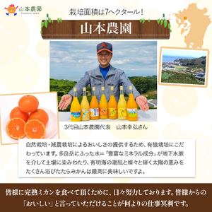 R-36 山本農園のみかんのお楽しみ定期便 ４回コース 定期便 温州みかん 10kg ２回 ①11月上旬～ ②１２上中旬～ ③クレメンティン or はれひめ いづれか 4.5kg １月中旬～  ④はれ